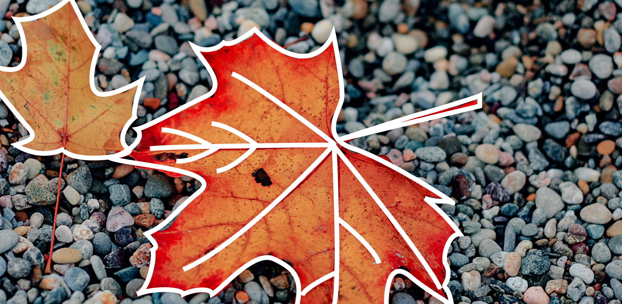 Иллюстрация к статье - 5 популярных вопросов о сельской ипотеке 5 популярных вопросов о сельской ипотеке